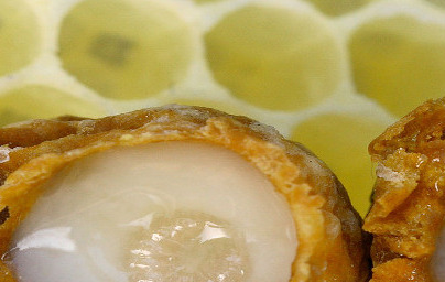 Gelee Royale Gelee Royale